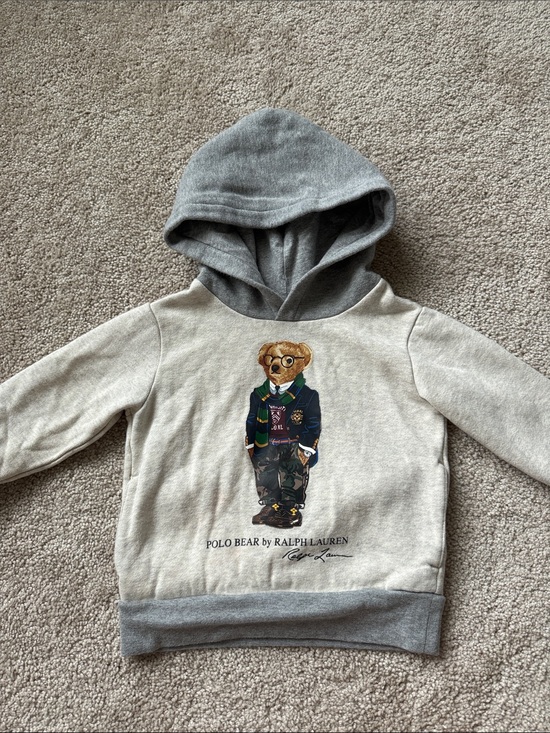 Polo Ralph Lauren Other - Polo Ralph Lauren Bear University Colorblock Hoodie Sweatshirt Grey